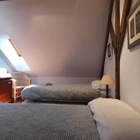 Duplex Goizargi *